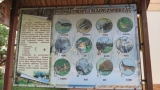 Tablica informacyjna ze zdjęciami zwierząt i opisem Ich tropów